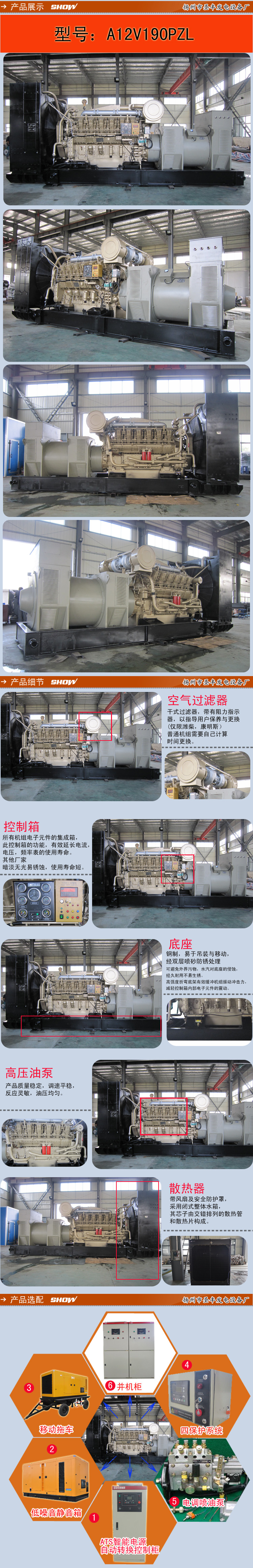 A12V190PZL  详情