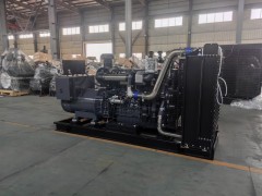 300 千瓦柴油發(fā)電機(jī)組（柴動(dòng)力）技術(shù)參數(shù)與配置說明